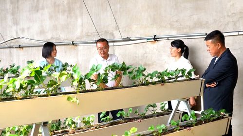 科技興農繪藍圖 縣委書記楊家佳深入調研，擘畫鄉村產業振興新路徑
